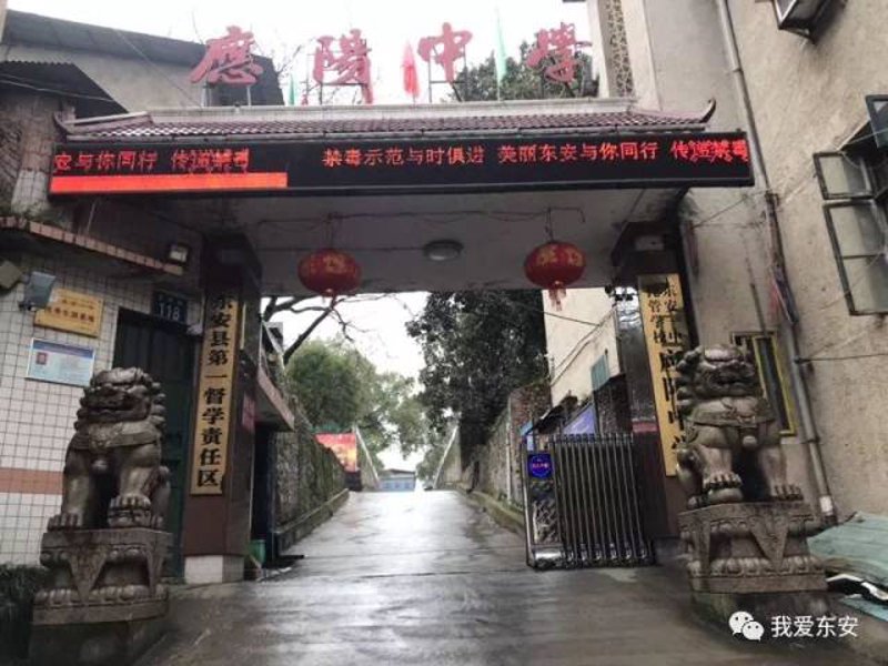 工具推荐类:对比分析多个招聘平台,选择最适合您的东安人才网