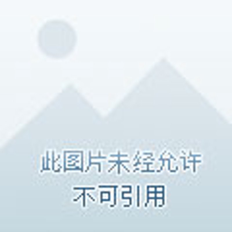如何在求职中脱颖而出?——东安人才网案例解析